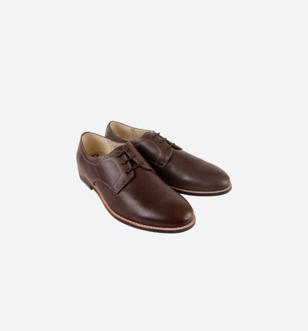 Men Brown Chinlet Walk Leather Derby Shoes